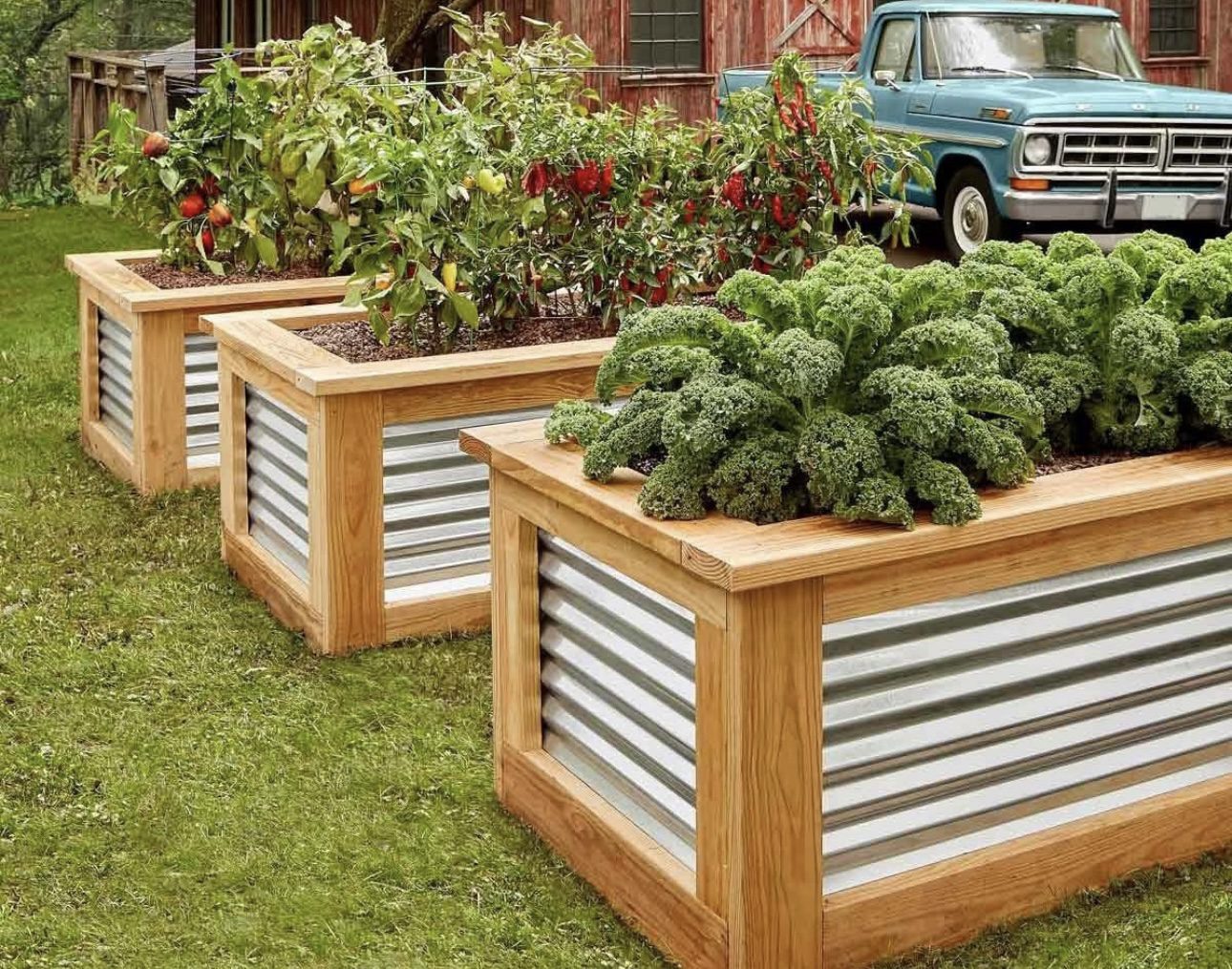 Modern Farmhouse Wood and Metal Raised Beds