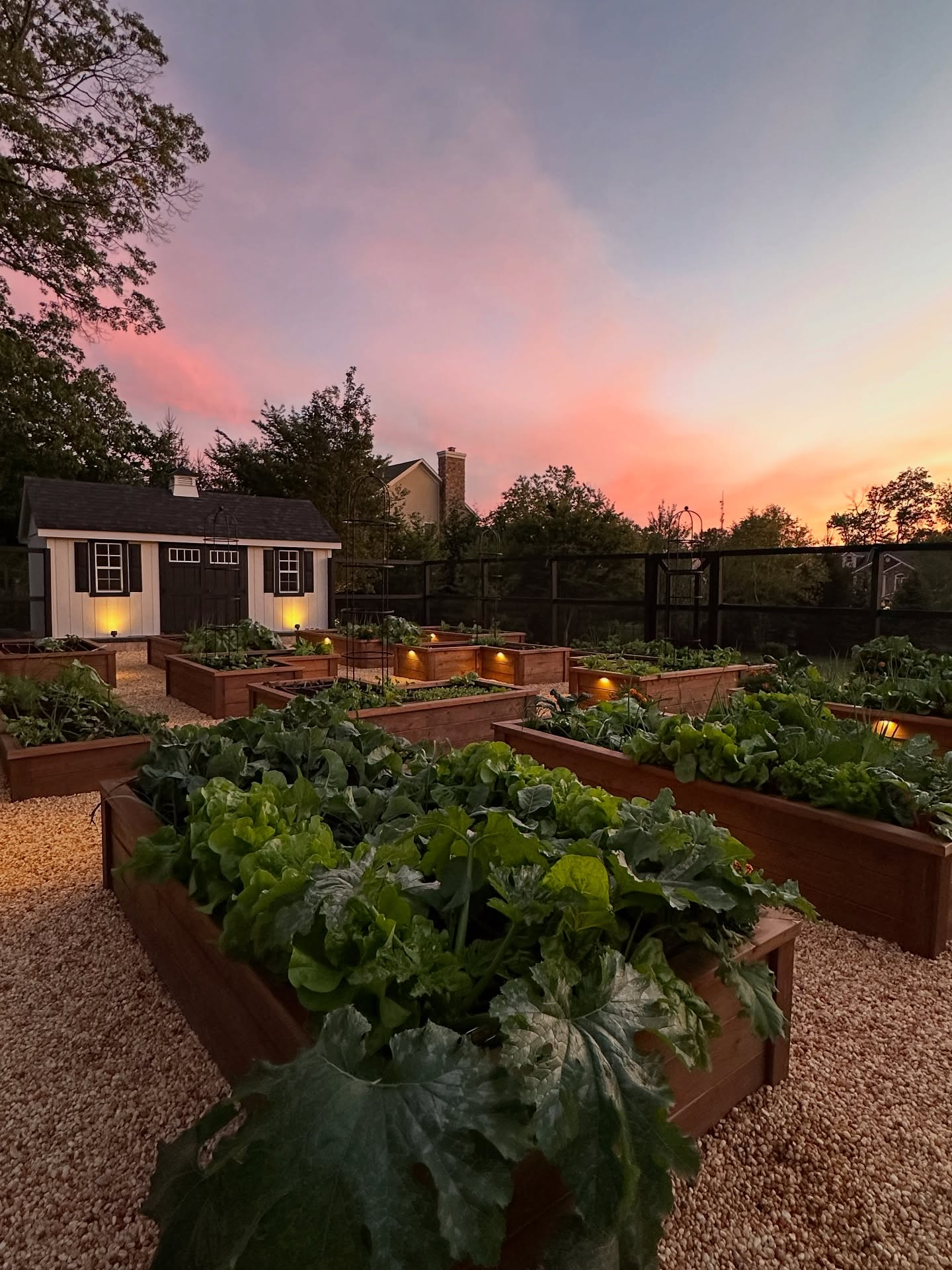 Rustic Raised Beds and Cozy Illumination