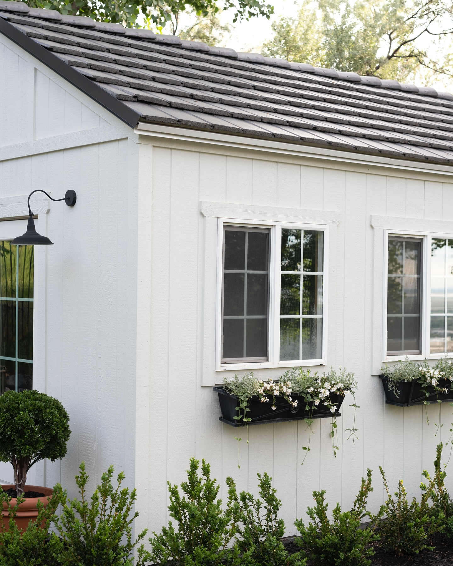 Vibrant Window Boxes for a Garden Glow