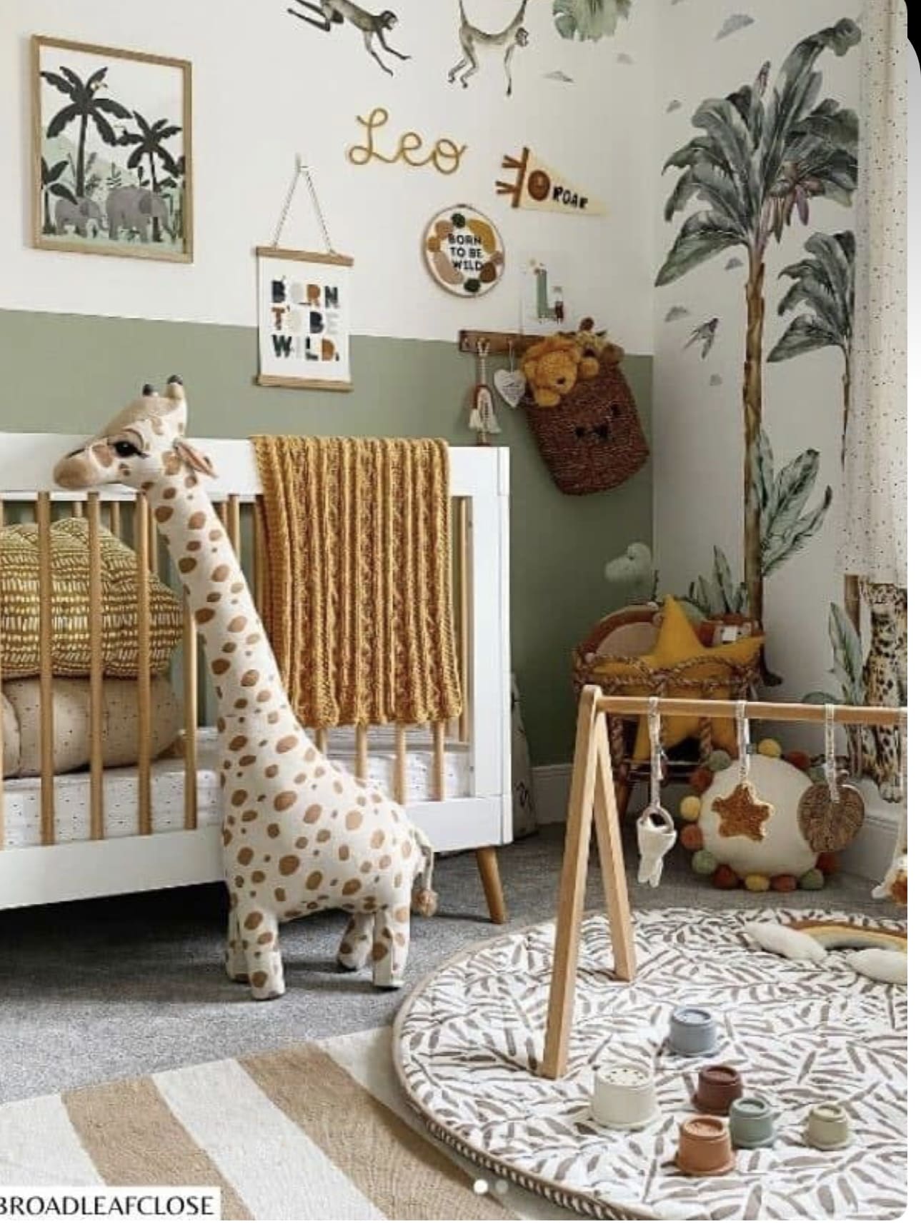 Wild Wonders: Safari-Themed Accents