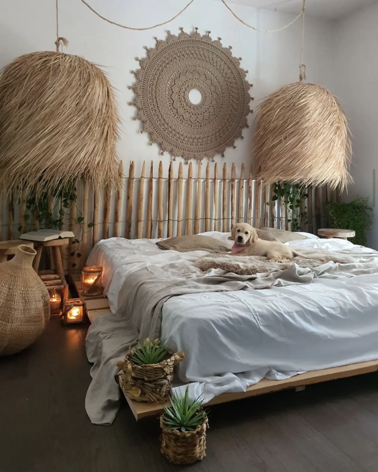 Elevate Your Space with Tropical Palm Leaf Pendant Lights
