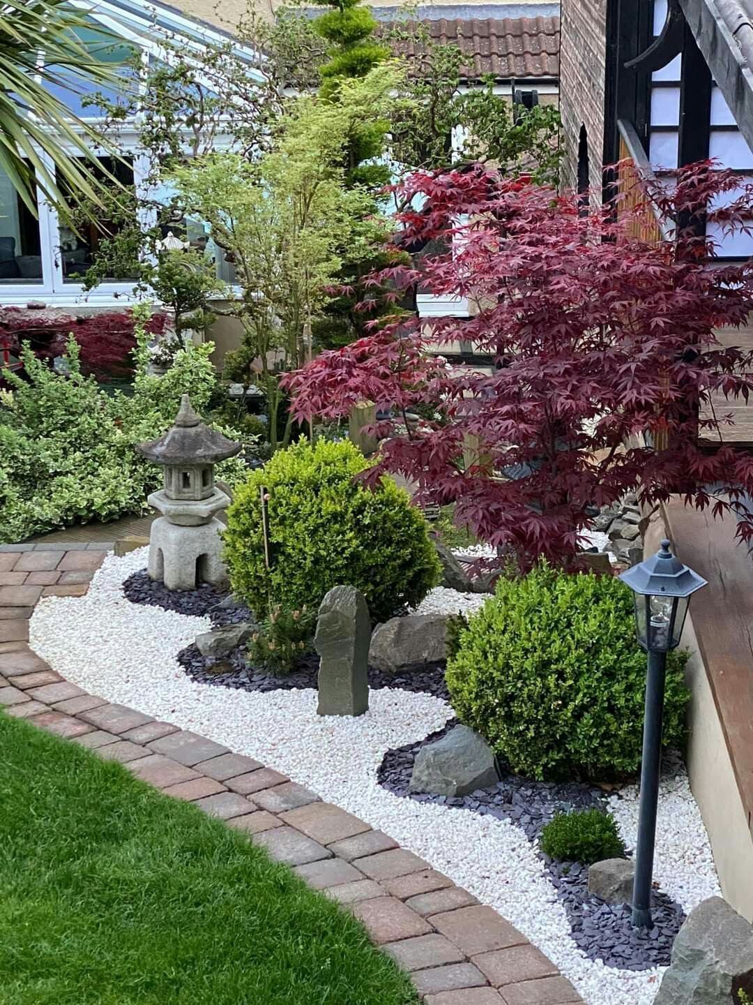 Japanese Maple Zen Garden