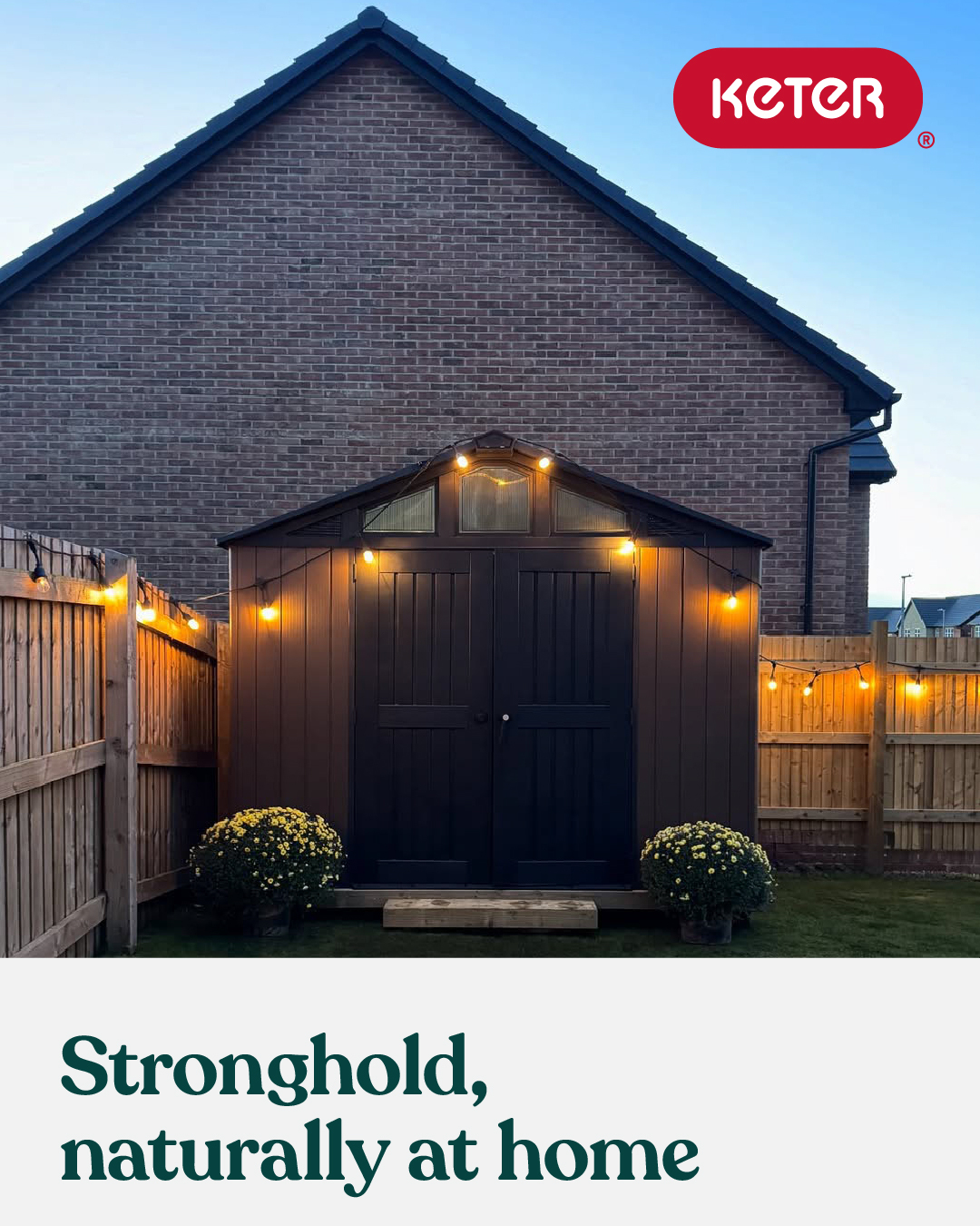 Enchant Your Shed with Twinkling String Lights