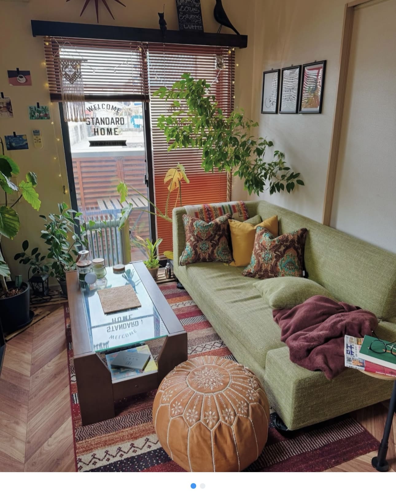 Elevate Your Space with Lush Indoor Plants