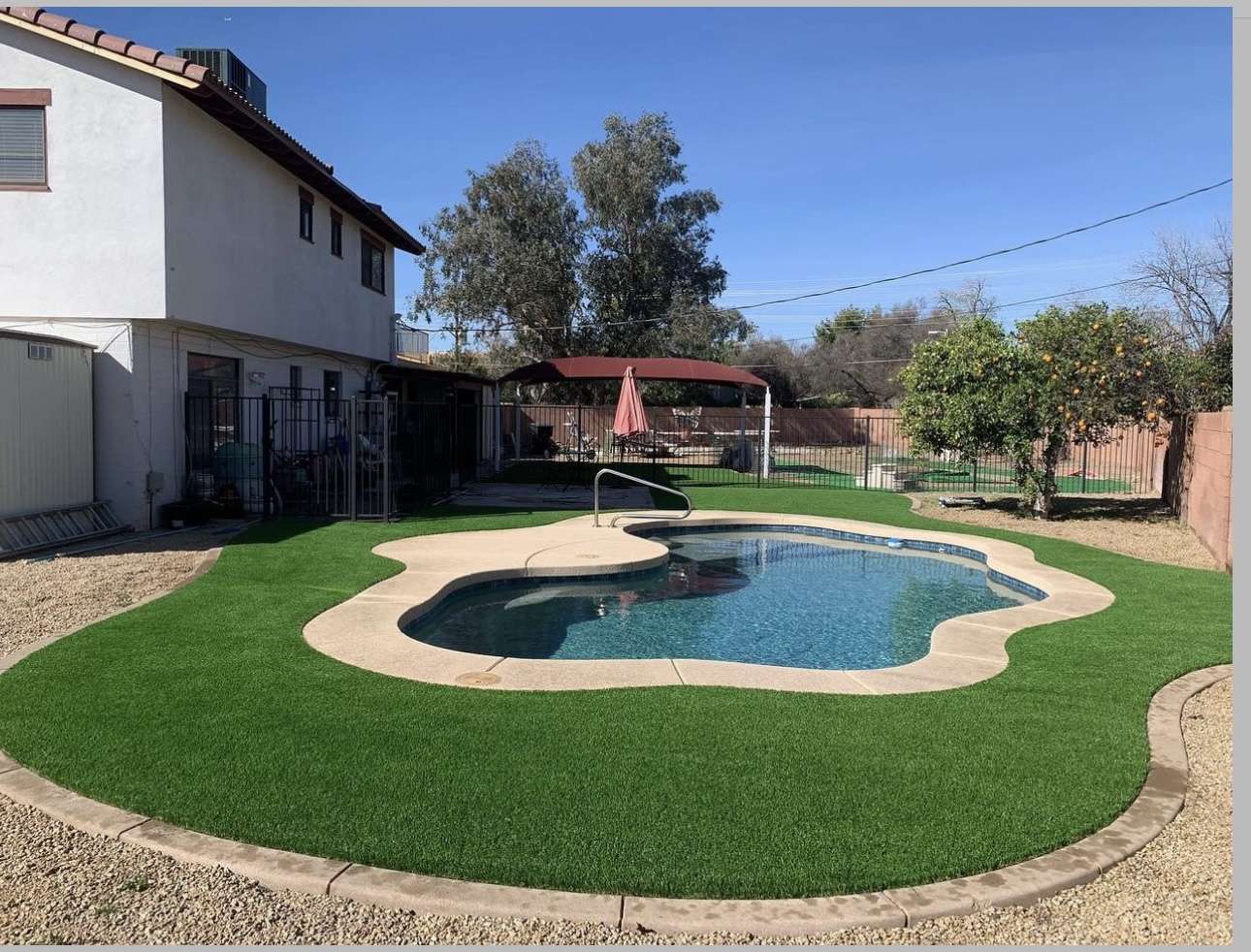 Organic-Shaped Pool with Artificial Grass