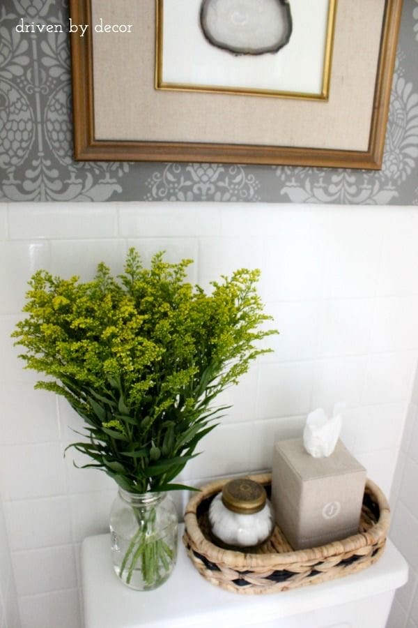 Green Plant and Storage Tray