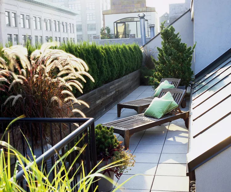 Set Up Sun Lounging Spots