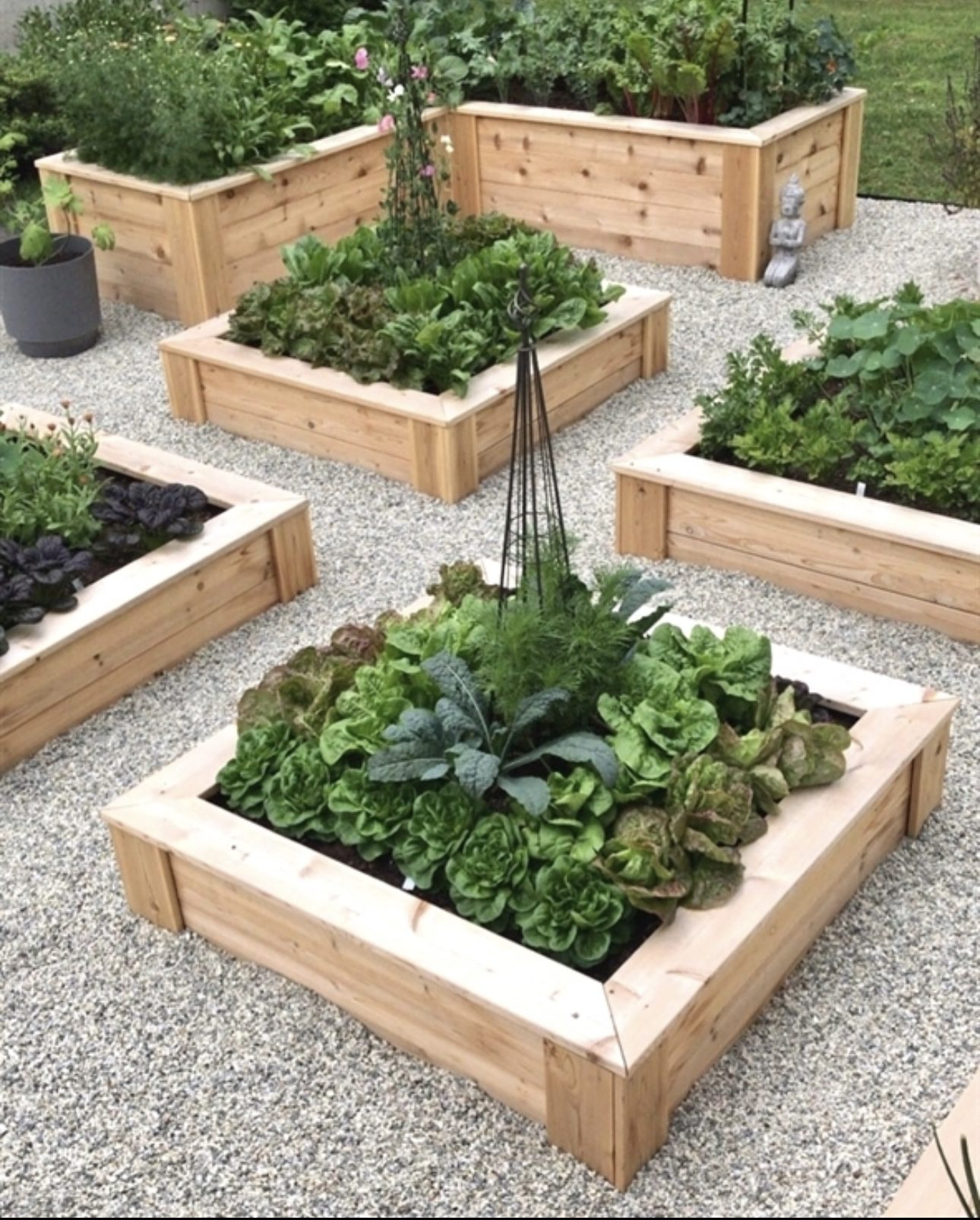 Low Wooden Raised Beds for an Organized Vegetable Garden