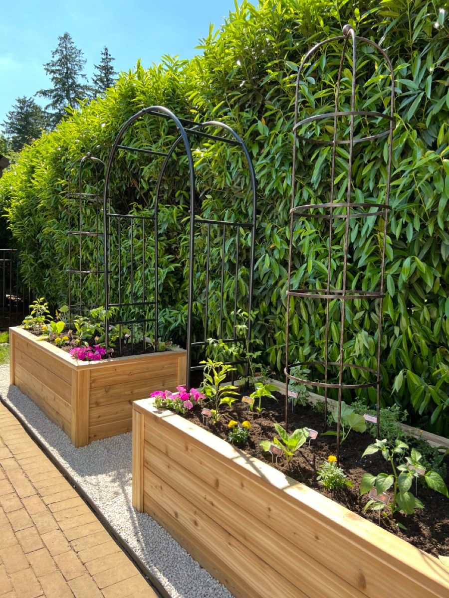 Raised Beds with Arched Trellises
