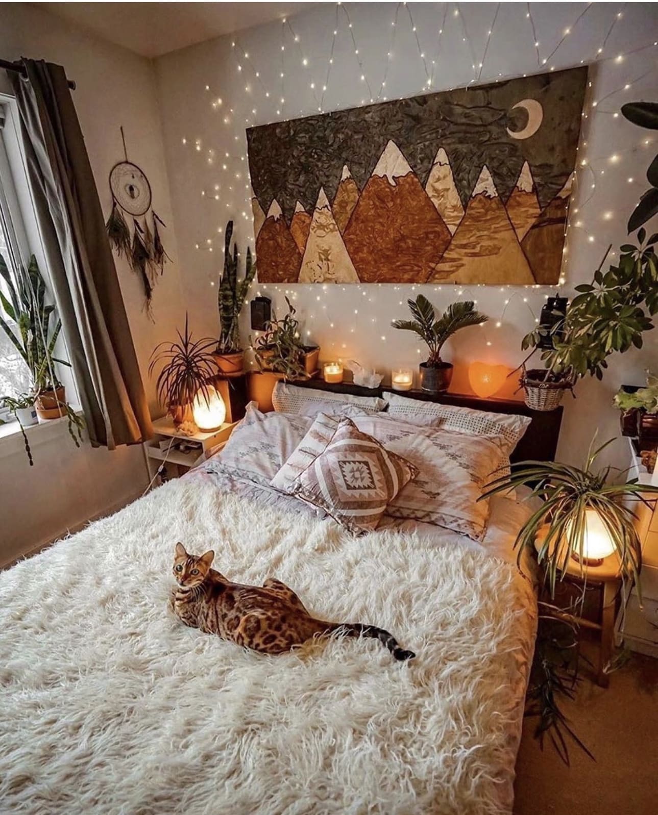 Embrace Nature with Indoor Plants