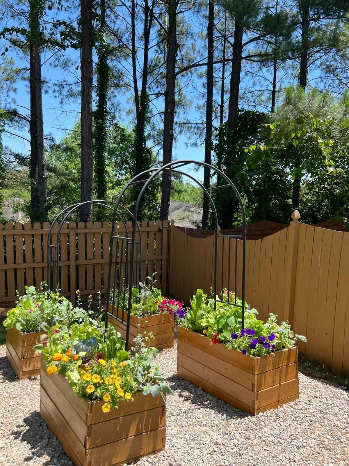 Garden Arch Trellises