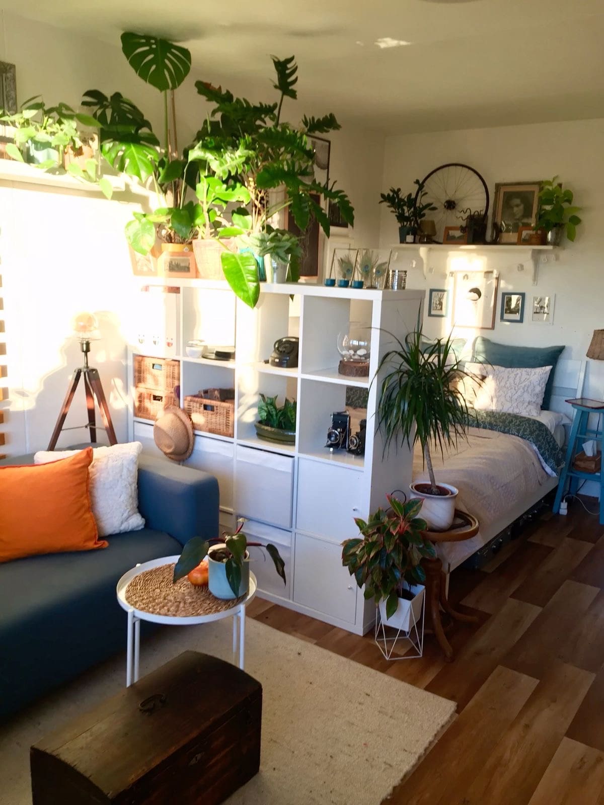 Green Your Space, Lift Your Mood