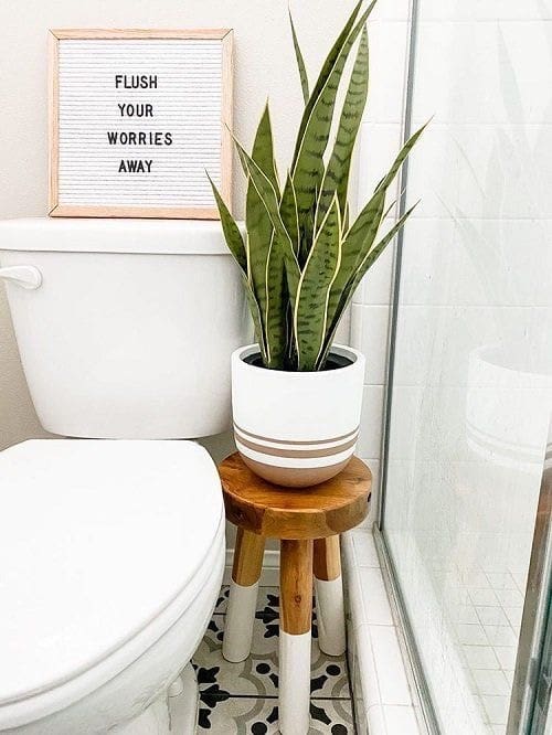 Elevate Your Space with Hanging Wall Lights