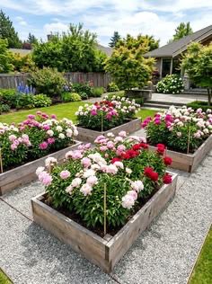 Raised Flower Beds for a Cottage Garden Feel