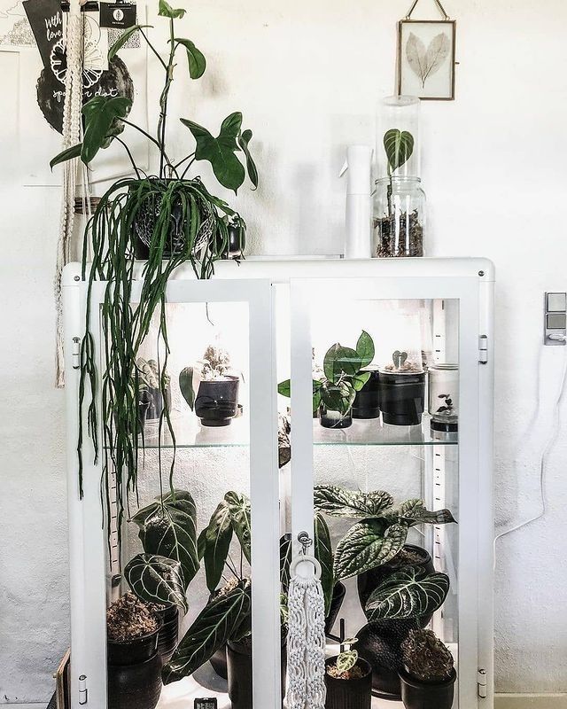 Chic Indoor Garden Cabinet