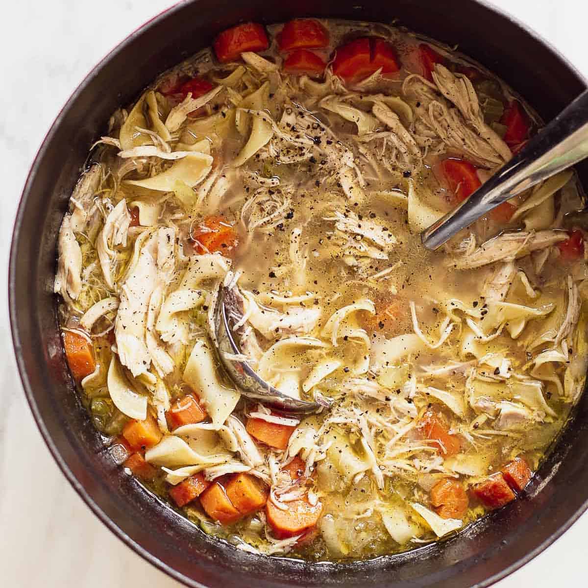 Chicken Noodle Soup